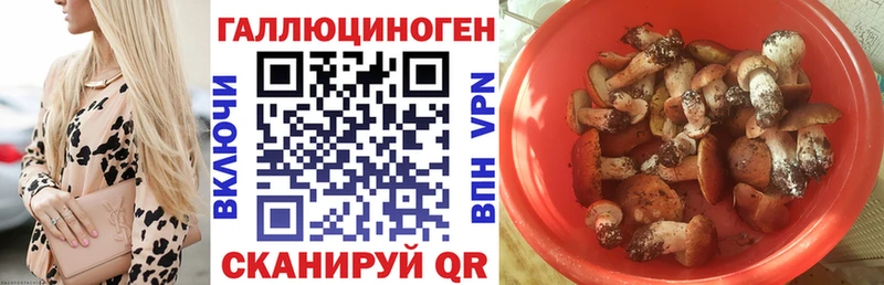 Галлюциногенные грибы мицелий  Будённовск 